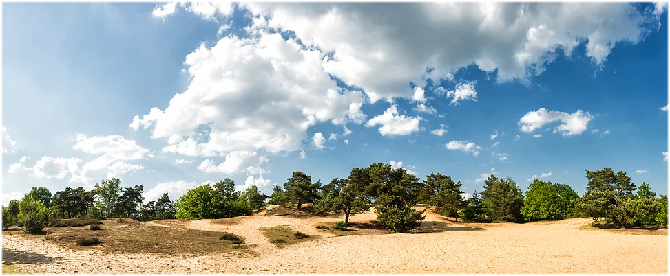 De Oudsberg, de parel van de duinengordel
